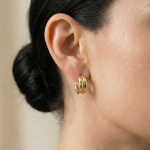 Mirror Curve Earring